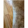 Image 2 : Animal Pelt Rug