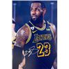 Image 1 : NBA All Star LeBron James facsimile signed  photo