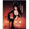 Image 1 : Elvira photo reprint