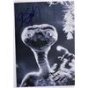 Image 1 : E.T. the Extra-Terrestrial Steven Spielberg and Matthew De Meritt facsimile signed movie photo