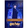 Image 1 : Harry Potter and the Philosopher's Stone Daniel Radcliffe facsimile signed movie photo