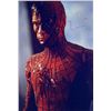 Image 1 : Spider-Man Tobey Maguire facsimile signedphoto