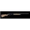 Image 1 : SKB HS300 Shotgun