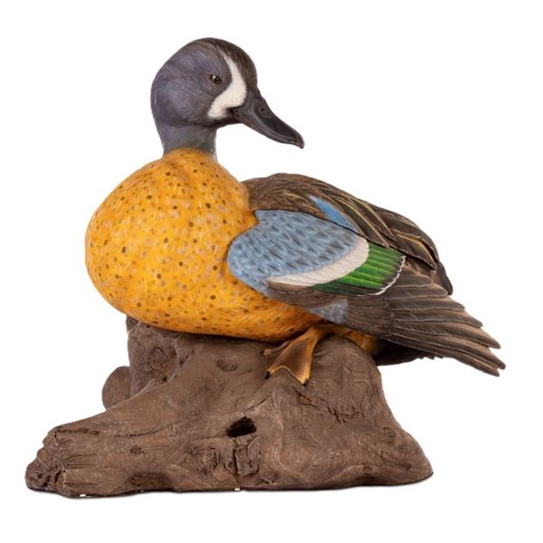 Blue-winged Teal Decoy