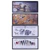 Image 1 : Conservation Wall Art