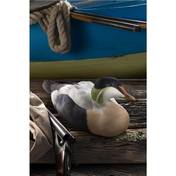 Common Eider 2025 Decoy of the Year