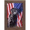 Image 1 : All American by Anthony Padgett