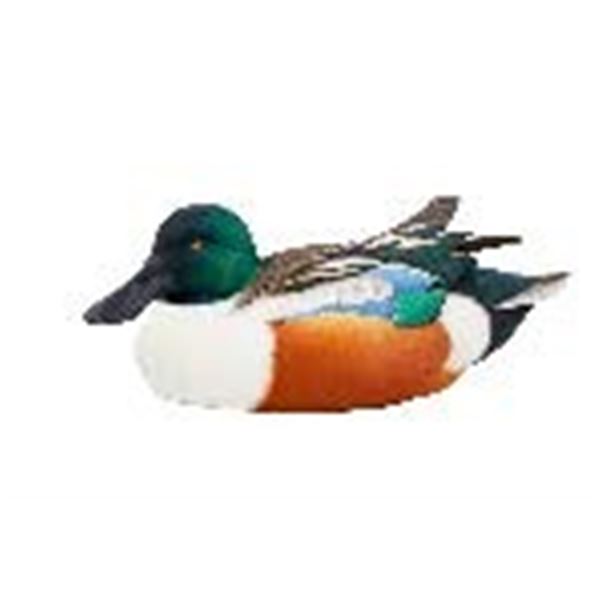 Northern Shoveler Decoy