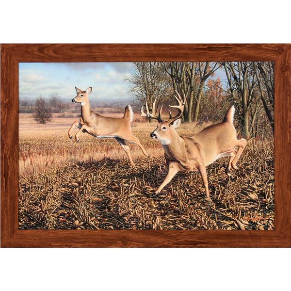 Missed Opportunities