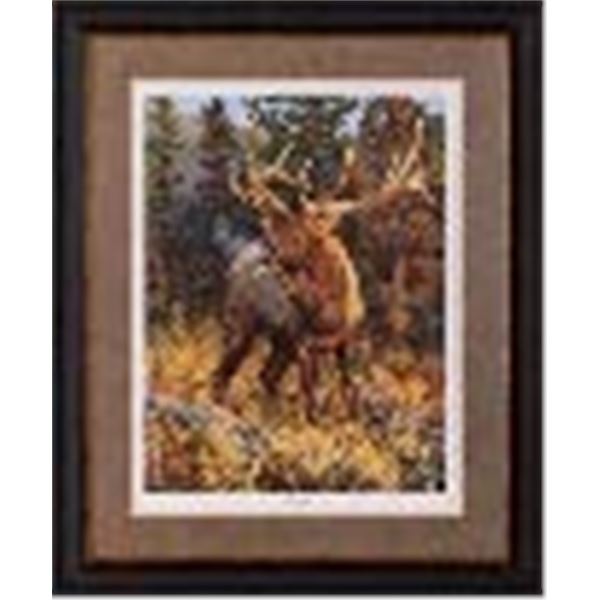 Fall Challenge by Bruce Miller