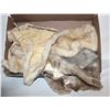 Image 1 : GENUINE MINK FUR TANNED HIDES FOR LEATHER CRAFT