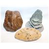 Image 1 : LOT OF PETRIFIED WOOD FINISHED WITH OTHER STONE