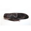 Image 1 : 100% HUMAN HAIR STRAIGHT 34" WIG COLOR #2