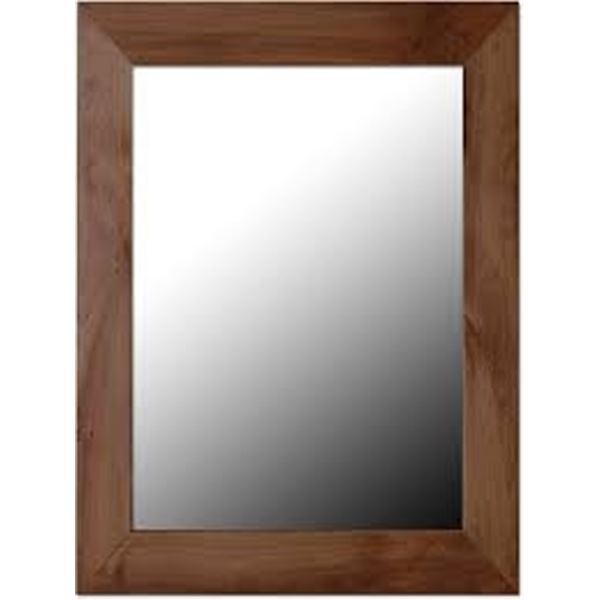 NEW HOME BASICS DM47053 12 X 16" WALL MIRROR