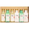 Image 1 : TRAY OF MAUI SHAMPOO + CONDIONERS