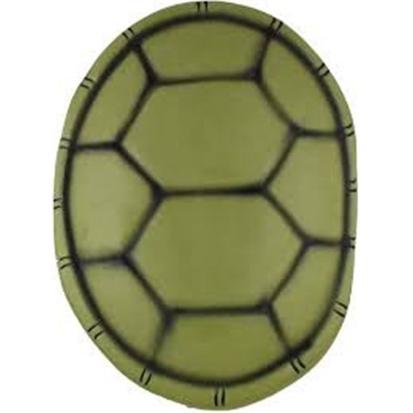 NEW NINJA TURTLE TURTLE SHELL ACCESSORY