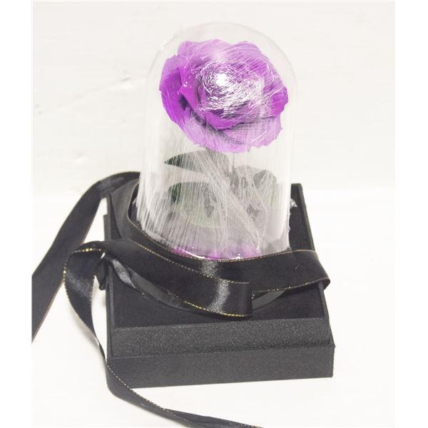 NATROSES PURPLE ROSE IN GLASS DOME