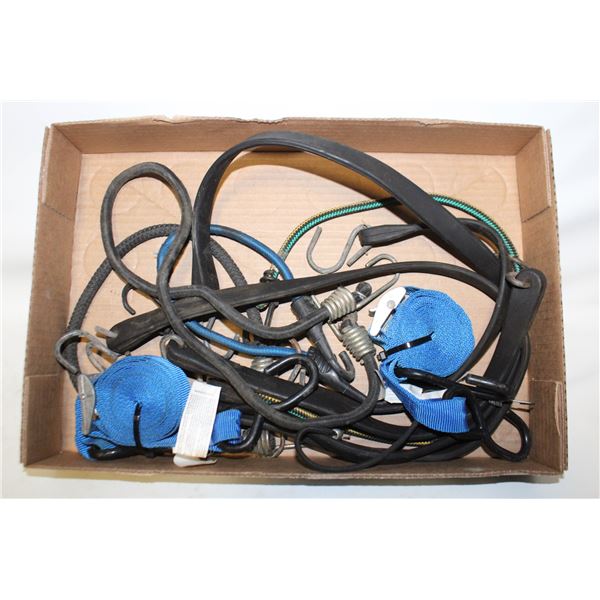 BUNGIE CORDS & CAMBUCKLE TIE DOWN STRAPS