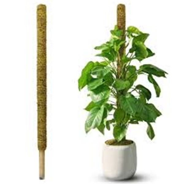 NEW DUSPRO 59" NON-BENDABLE POLE FOR BIG PLANTS