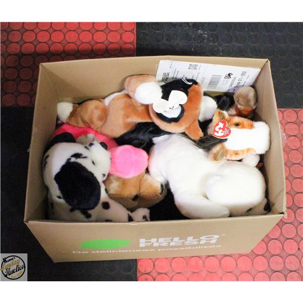 BOX OF VARIOUS LARGE SIZED BEANIE BABIES