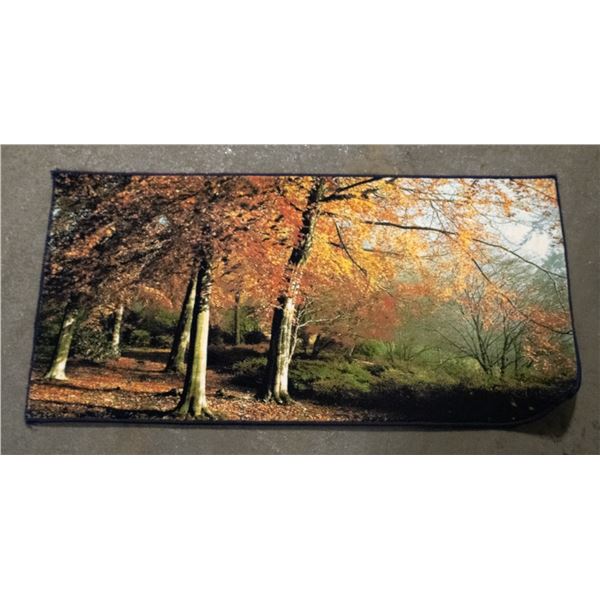 NEW ENTRANCE RUG 19.5" X 40"