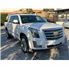 Image 2 : CADI ESCALADE 2016 O/S TITLE 2 DAYS