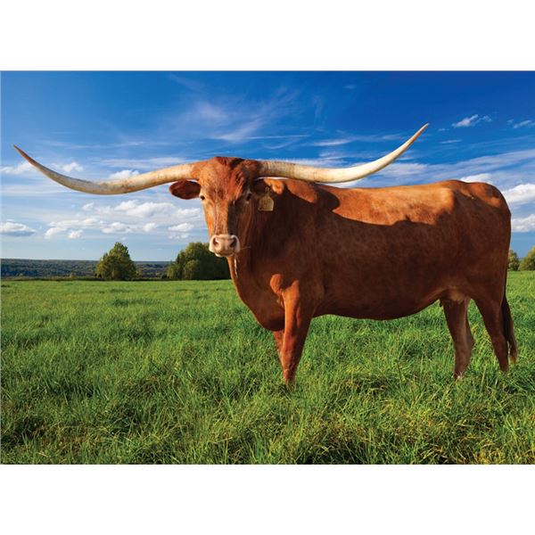 ECR Hearts & Flowers