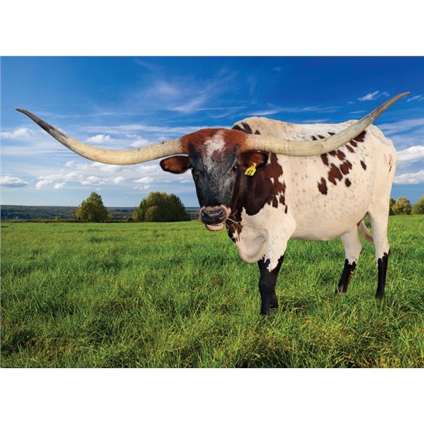 Silver Concealed Girl