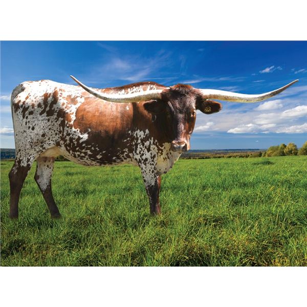 SR TUNGSTEN’S TIARA