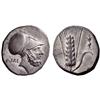 Greek coins. Metapontum. Nomos ca 340-330, AR 7.77g.