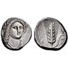 Greek coins. Metapontum. Nomos ca 330-290, AR 7.79g.