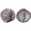 Greek coins. Metapontum. Nomos ca 290-280, AR 7.94g.