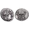 Roman Rep. P. Fourius Crassipes. Denarius 84, AR 3.86g.
