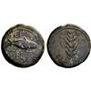 Greek coins. Hispania, Ilipa. Bronze 2nd century BC, 18.32g.