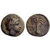 Greek coins. Tiryns. Bronze ca 370-300, 1.52g.
