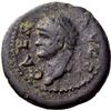 Image 2 : Roman Rep. Domitian caesar. Quadrans Syria (?) 74, Æ 2.90g.