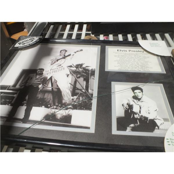 Elvis Presley Picture