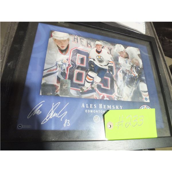 Ales Hemsky Edmonton Oilers Hockey Picture