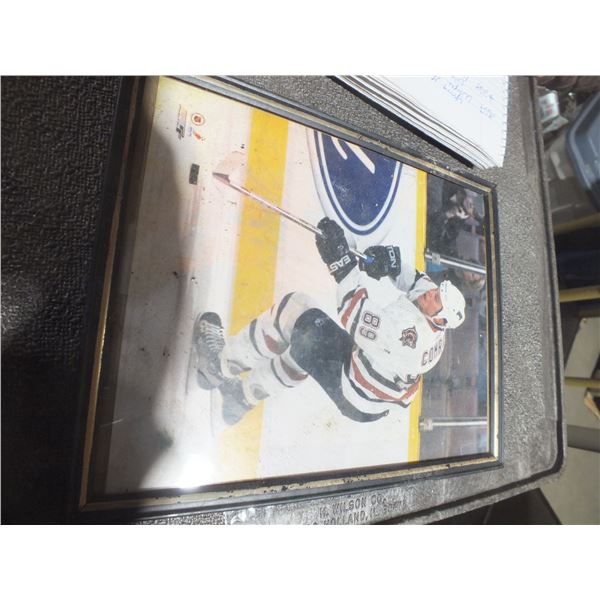 Edmonton Oilers Mike Comrie Picture