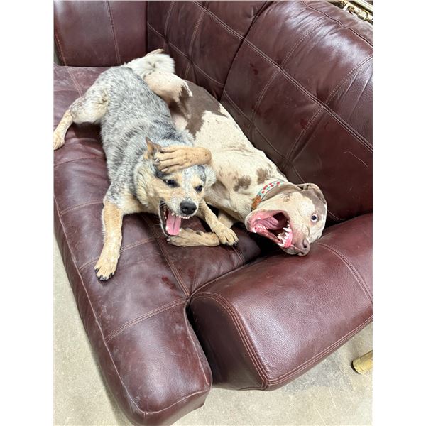 Item's Coming Soon! Check Back Often!