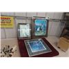 Image 1 : Three Framed Cat Pictures, Largest 16" x 20"