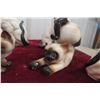 Image 7 : Six 1950s Siamese Cat Kitten Ornaments, Largest 9" Tall