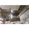 Image 11 : Victorian Style Hanging Lamp with Hand-Painted Shade and Prisms