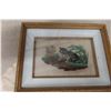 Image 10 : 15 Pictures - Mainly Cats