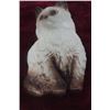 Image 3 : Assorted Chalkware Animal Figures Including Cats, Owl, and Dogs with Plates and Cut Glass Cats