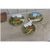 Image 1 : Three CICO German Plates