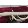 Image 5 : Beluga Cribbage Board, Whalebone 13 1/2" Long, Soapstone Base 8" x 5" Includes Deer Sheds