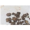 Image 3 : Pottery Shard From Northern Manitoba Dig Sites