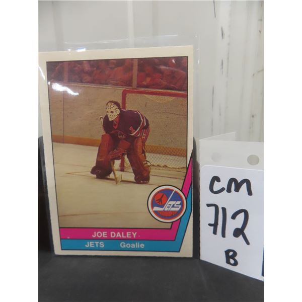 1977–78 Joe Daley Winnipeg Jets Hockey Card
