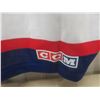 Image 8 : Vintage Winnipeg Jets CCM by Maska Extra Large Hockey Jersey